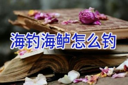 海钓海鲈怎么钓