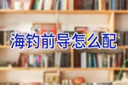 海钓前导怎么配