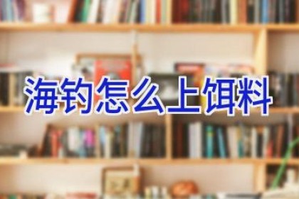 海钓 怎么 上 饵料