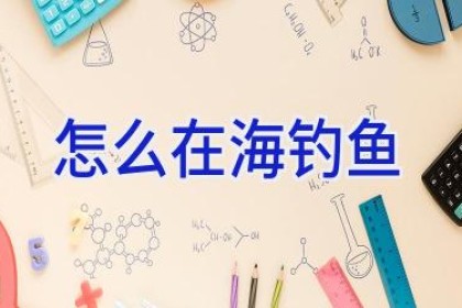 怎么在海钓鱼