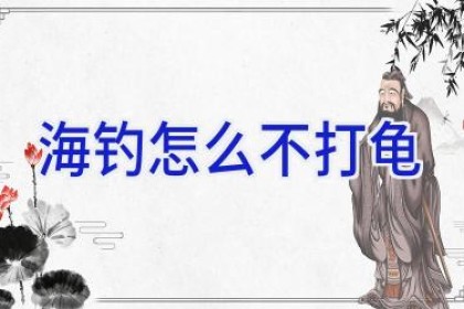 海钓怎么不打龟