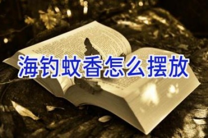 海钓蚊香怎么摆放