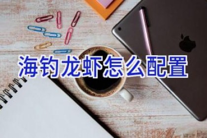 海钓龙虾怎么配置