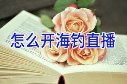 怎么开海钓直播