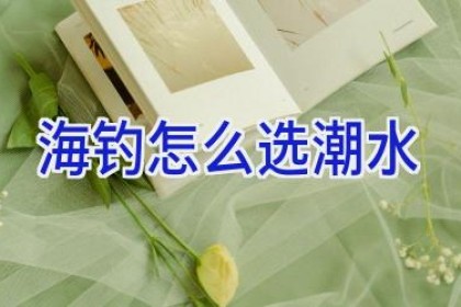 海钓怎么选潮水