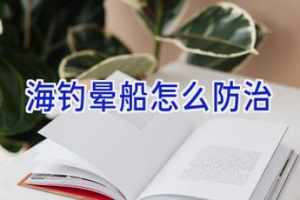 海钓晕船怎么防治