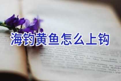 海钓黄鱼怎么上钩