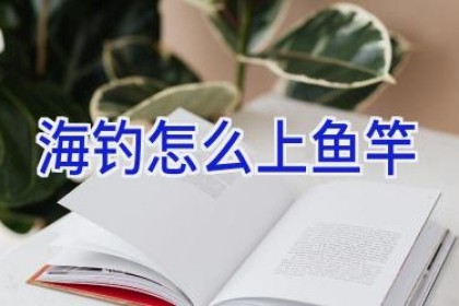 海钓怎么上鱼竿