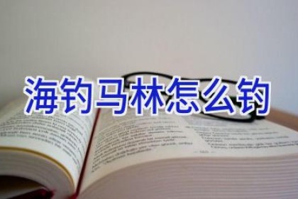 海钓马林怎么钓