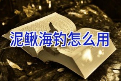 泥鳅海钓怎么用