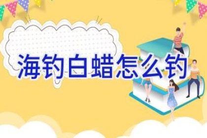 海钓白蜡怎么钓