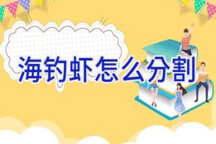 海钓虾怎么分割