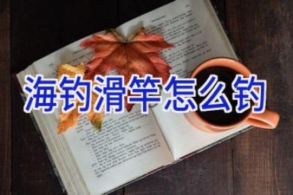 海钓滑竿怎么钓