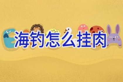 海钓怎么挂肉