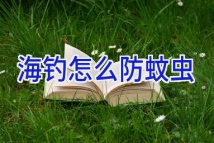 海钓怎么防蚊虫