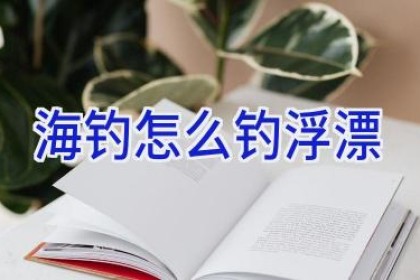 海钓怎么钓浮漂