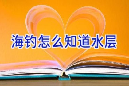 海钓怎么知道水层