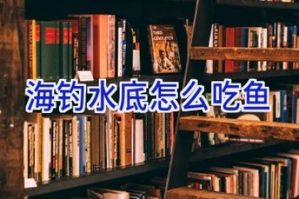 海钓水底怎么吃鱼