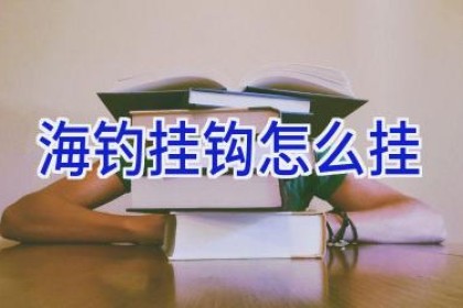 海钓挂钩怎么挂