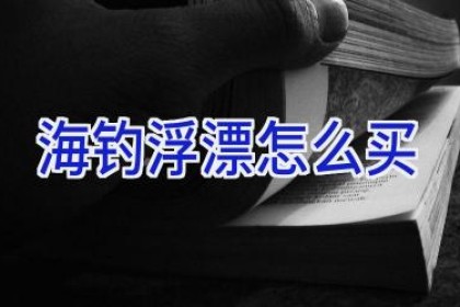 海钓浮漂怎么买