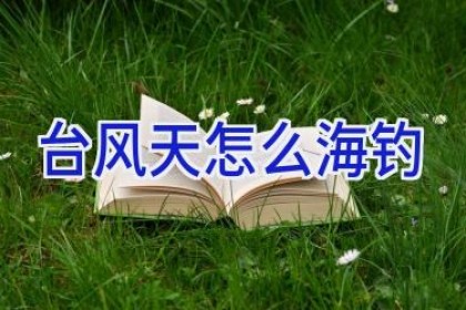 台风天怎么海钓