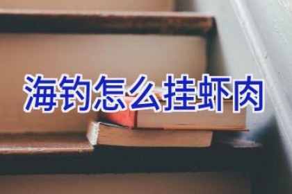 海钓怎么挂虾肉