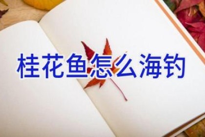 桂花鱼怎么海钓
