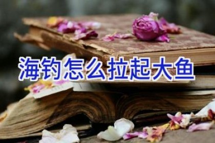 海钓怎么拉起大鱼