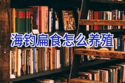 海钓扁食怎么养殖