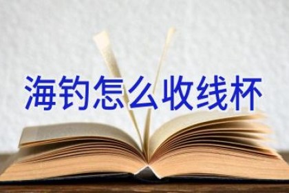 海钓怎么收线杯