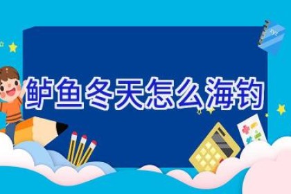 鲈鱼冬天怎么海钓