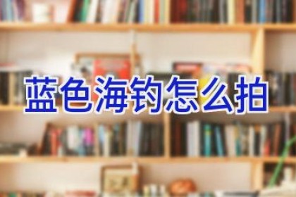 蓝色海钓怎么拍
