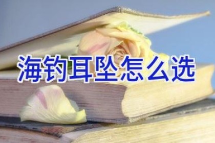 海钓耳坠怎么选