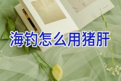 海钓怎么用猪肝