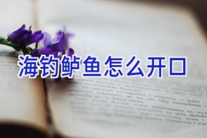 海钓鲈鱼怎么开口