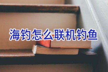 海钓怎么联机钓鱼