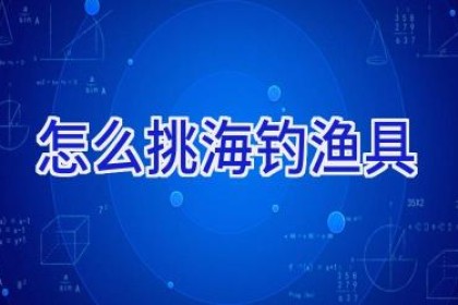 怎么挑海钓渔具