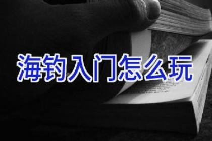 海钓入门怎么玩