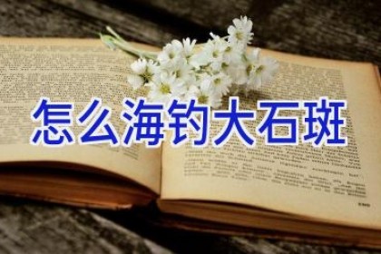 怎么海钓大石斑