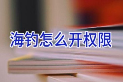 海钓怎么开权限