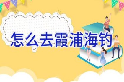 怎么去霞浦海钓