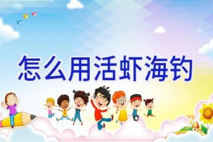 怎么用活虾海钓