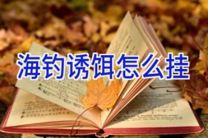 海钓诱饵怎么挂