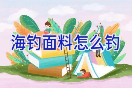 海钓面料怎么钓