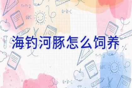 海钓河豚怎么饲养