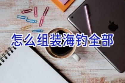 怎么组装海钓全部