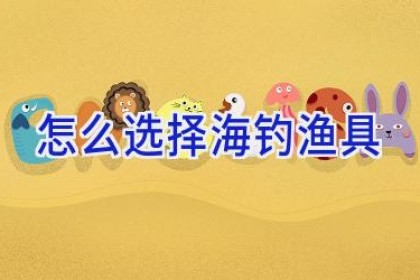 怎么选择海钓渔具