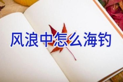 风浪中怎么海钓