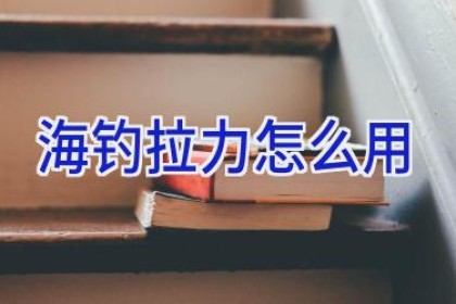 海钓拉力怎么用