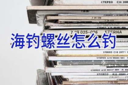 海钓螺丝怎么钓